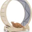 Cat Exercise Wheel – Running Spinning Scratching Climbing