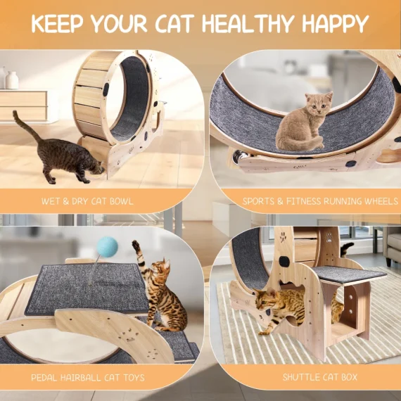 6 in 1 Cat Exercise Wheel Silent Cat Treadmill 4 | PricZone