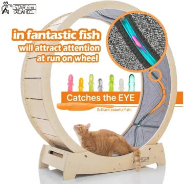 Premium Cat Treadmill with Birch Wood for Indoor Cats 2 | PricZone Premium Cat Treadmill with Birch Wood for Indoor Cats 2 | PricZone