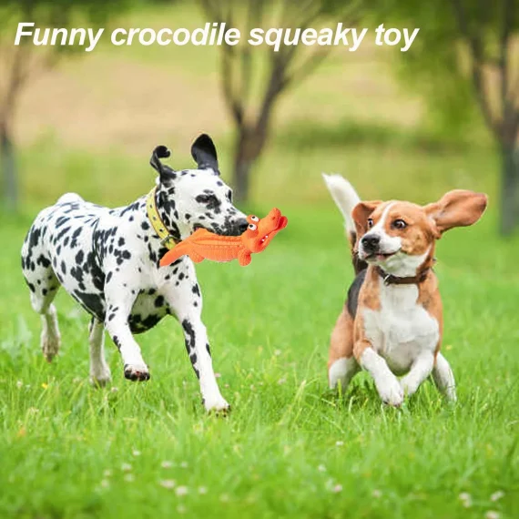 Durable Dog Chew Toy for Aggressive Chewers 5 | PricZone