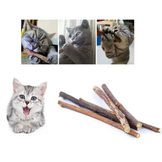 Cat Chew Toys for Teething Cats Silvervine Sticks 3 | PricZone