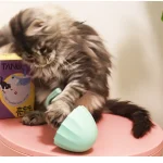 Interactive 360 degree Laser Cat Toy for Indoor Pets 6 | PricZone