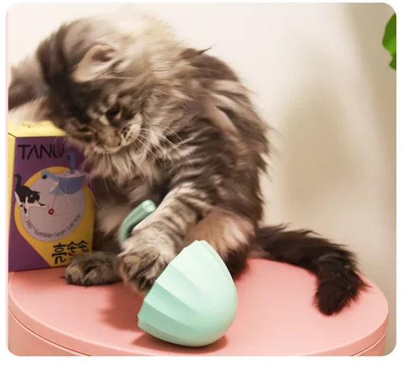 Interactive 360 degree Laser Cat Toy for Indoor Pets 6 | PricZone