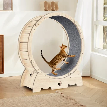 Indoor Cat Exercise Wheel Carpeted Running Treadmill 2 | PricZone