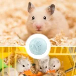 Hamster Running Balls Jogging Wheel for Small Pets 5 | PricZone