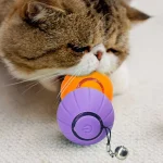 Interactive Glowing Cat Ball Toy for Indoor Play 5 | PricZone