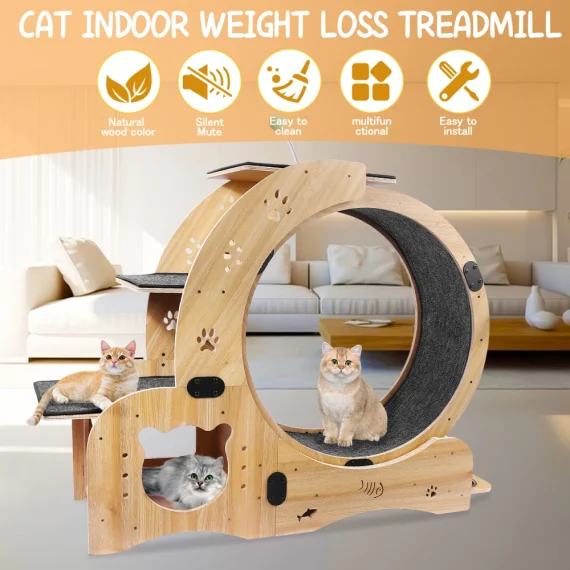 6 in 1 Cat Exercise Wheel Silent Cat Treadmill 2 | PricZone