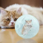 Safe Hamster Exercise Ball Jogging Wheel for Pets 2 | PricZone