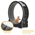 Cat Exercise Wheel Treadmill for Active Cats 6 | PricZone