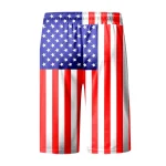 USA Flag Graphic Board Shorts 3D Printed Swim Trunks 5 | PricZone