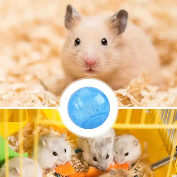 Hamster Jogging Wheel Safe Exercise Ball for Hamsters 5 | PricZone