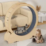 46 Inch Large Cat Exercise Wheel with Carpeted Runway 4 | PricZone