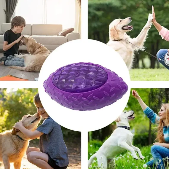 Interactive Rubber Dog Toy Ball Flashing Chew Ball 4 | PricZone