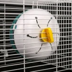 Quiet Pet Hamster Running Wheel for Small Animals 2 | PricZone