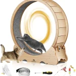 Cat Exercise Wheel with Carpeted Runway for Indoor Use 1 | PricZone