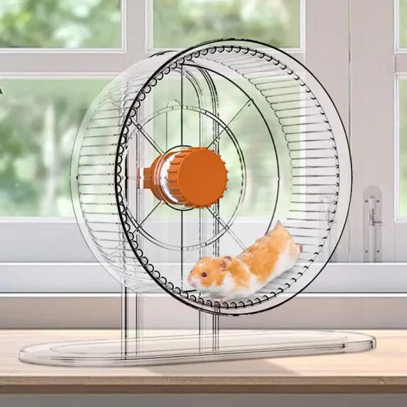 Hedgehog Hamster Exercise Wheel for Small Pets 5 | PricZone