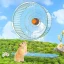 Hedgehog Hamster Exercise Wheel for Small Pets