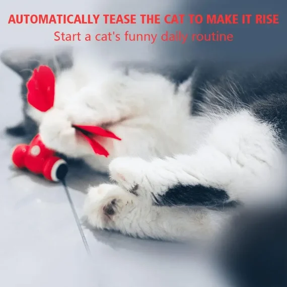 Interactive Red KitiFish Cat Toy with USB Charging 5 | PricZone