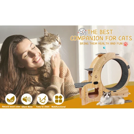 6 in 1 Cat Exercise Wheel Silent Cat Treadmill 3 | PricZone