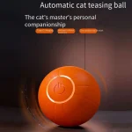 Interactive Glowing Cat Ball Toy for Indoor Play 2 | PricZone