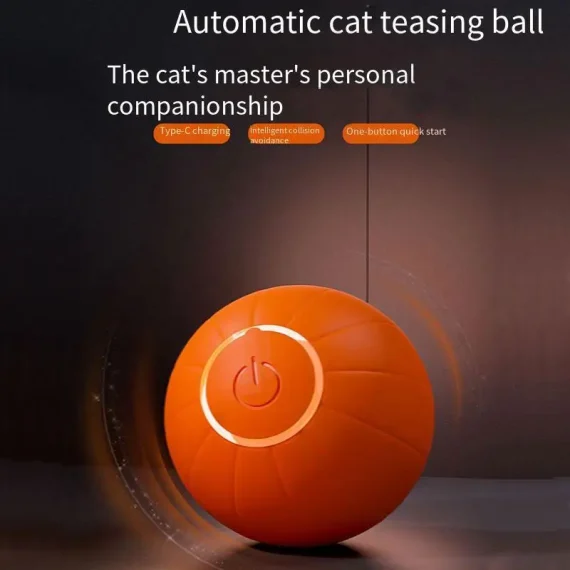 Interactive Glowing Cat Ball Toy for Indoor Play 2 | PricZone