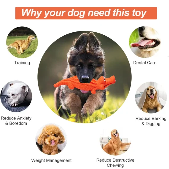 Durable Dog Chew Toy for Aggressive Chewers 6 | PricZone