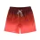 Gradient Colored Drawstring Quick-Dry Beach Shorts