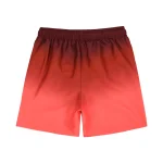 Gradient Colored Drawstring Quick Dry Beach Shorts 2 | PricZone