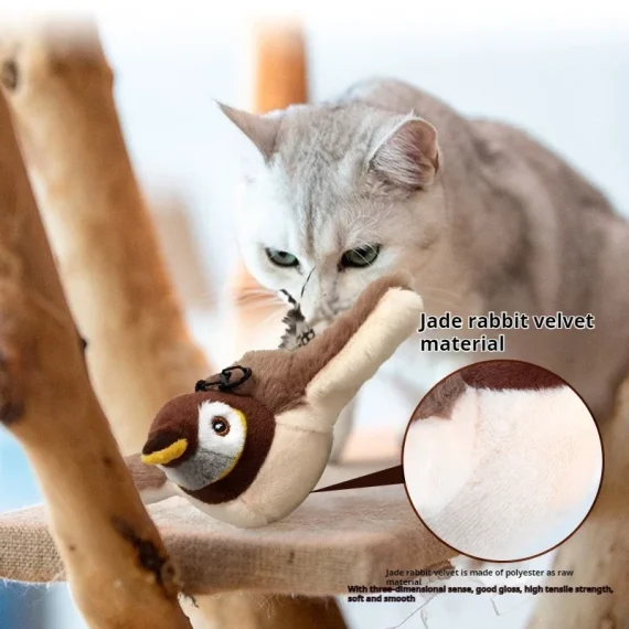 Interactive Cat Toy with Catnip and USB Charging 3 | PricZone