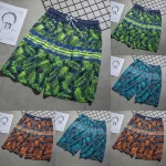 Long Swimming Trunks Casual Beach Shorts 4 | PricZone