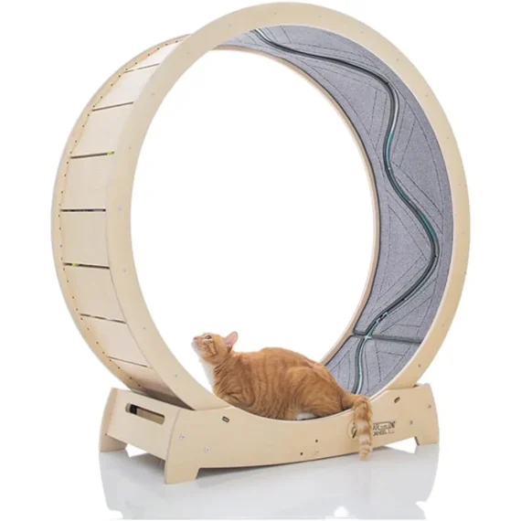 Premium Cat Treadmill with Birch Wood for Indoor Cats 1 | PricZone