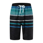 Stylish Mens Swimwear Board Shorts 2 | PricZone