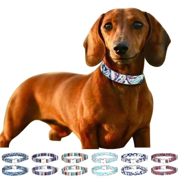 Boho Multicolored Pet Collar With Anti Loss Tag 1 | PricZone