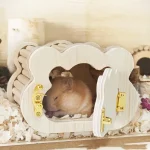 Tiny Hamster Wooden Cloud House for Small Pets 3 | PricZone