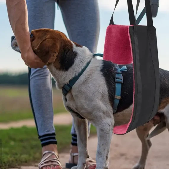 Dog Sling Hip Support Harness for Back Legs Mobility 3 | PricZone