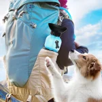 Portable Dog Water Bottle Travel Dispenser for Pets 5 | PricZone