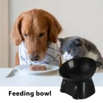 Raised Tilted Cat Bowls Non Slip Elevated Food Dish 3 | PricZone