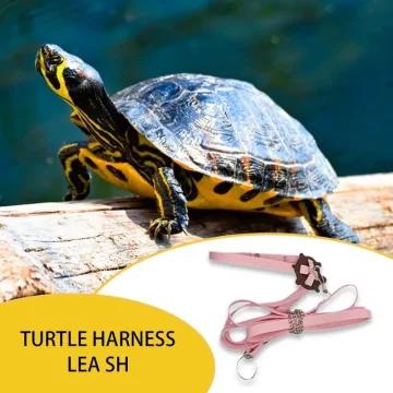 Adjustable PU Leather Turtle Harness with Leash 2