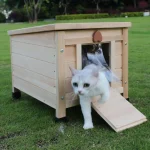 Weatherproof Wooden Cat House Outdoor Bunny Habitat 1 | PricZone