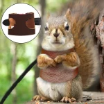 Small Pet Squirrel Harness with Leather Chest Strap 4 | PricZone