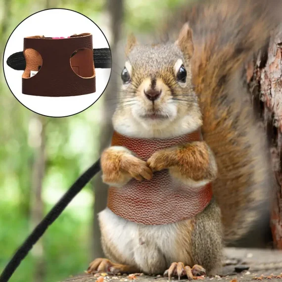 Small Pet Squirrel Harness with Leather Chest Strap 4 | PricZone