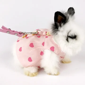 Adorable Bunny Harness Leash Set with Skirt 2