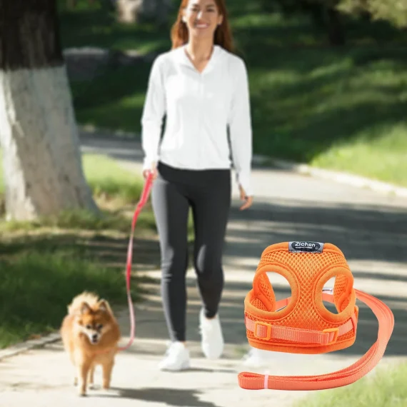 3 Dog Leash Set with Orange Mesh Harness and Chest Strap 2 | PricZone