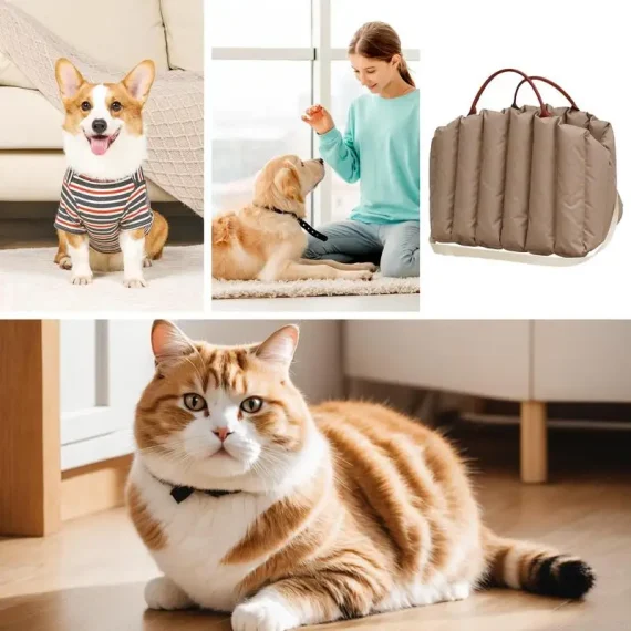 Multifunctional Portable Pet Carrier Bag for Travel 2 | PricZone