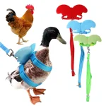 Adjustable Angel Wings Harness and Leash for Cats Ducks 1 | PricZone