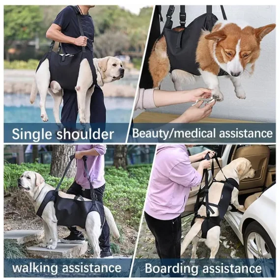 Adjustable Pet Support Harness with Thicken Handle 5 | PricZone