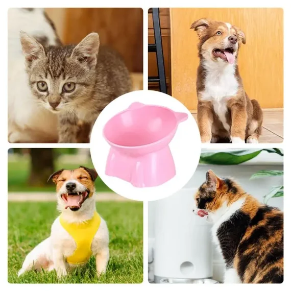 Raised Tilted Cat Bowls Non Slip Elevated Food Dish 5 | PricZone