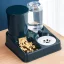 2-in-1 Cat Feeder and Water Dispenser Set