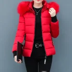 Pink Fluffy Hooded Puffer Coat for Women 3 | PricZone