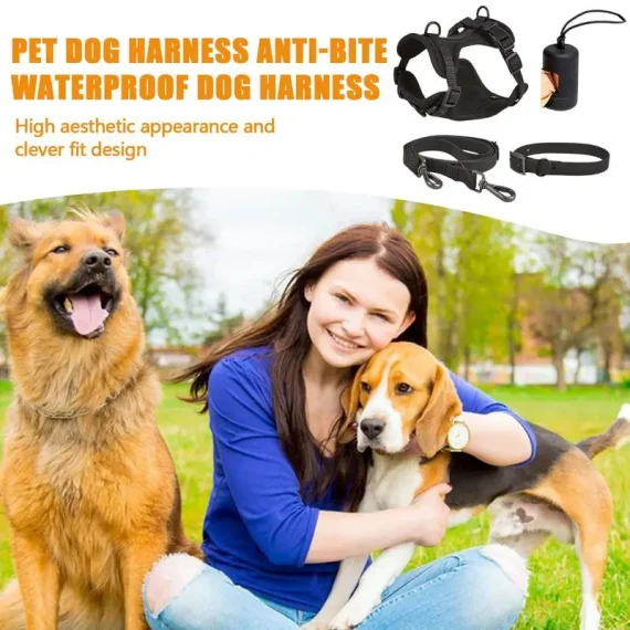 Adjustable Dog Harness Set No Pull with Lead for Medium Dogs 3 | PricZone